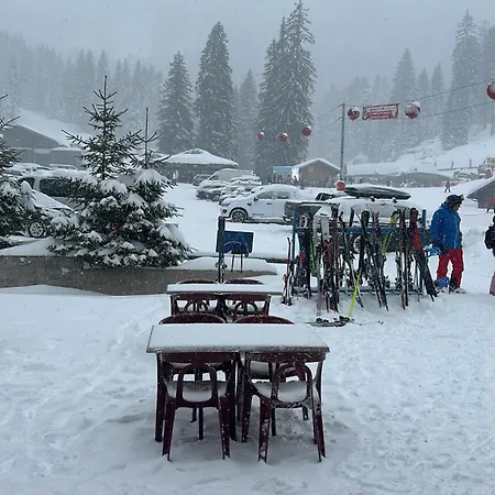 Daire Le Hameau Des 4 Saisons Châtel